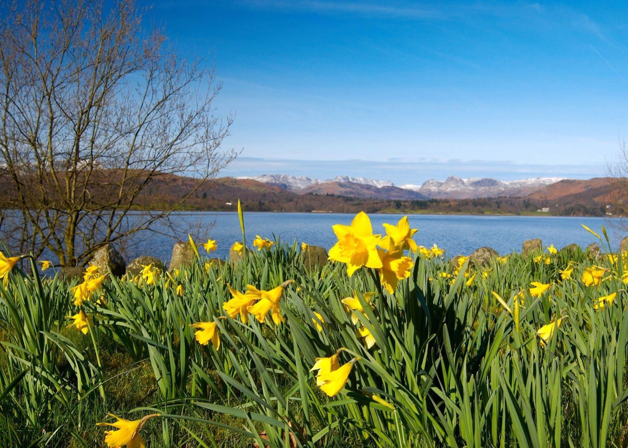 May Cottage B&B Bowness-on-Windermere Zewnętrze zdjęcie