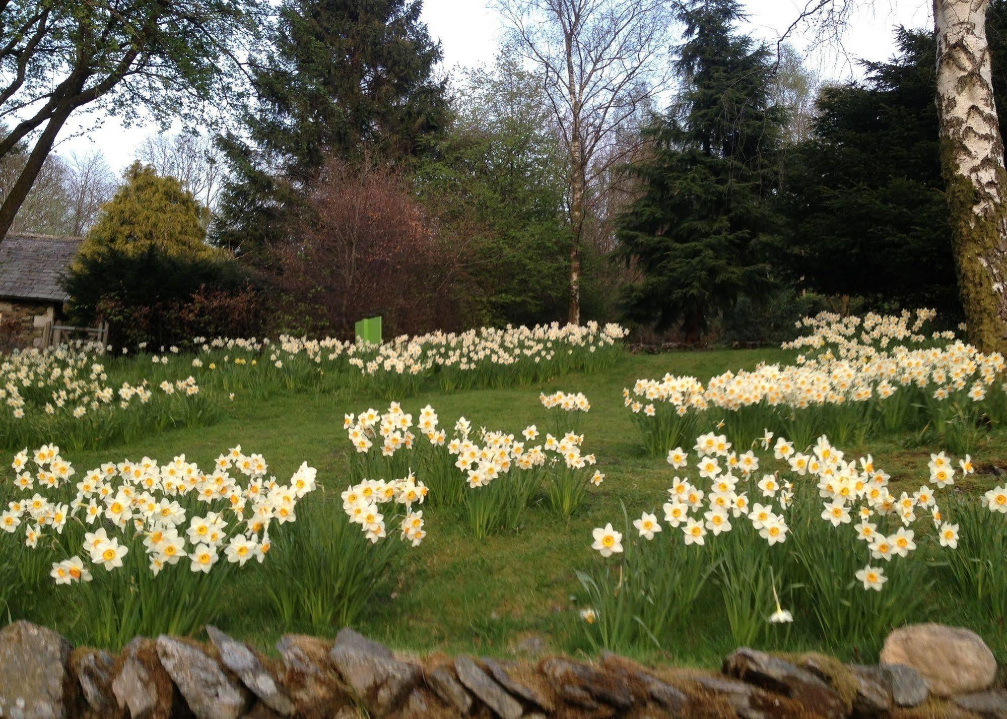 May Cottage B&B Bowness-on-Windermere Zewnętrze zdjęcie